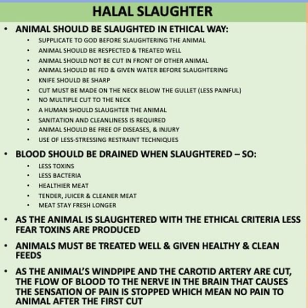 A text graphic detailing the ethical and humane practices of Halal slaughter for meat preparation.