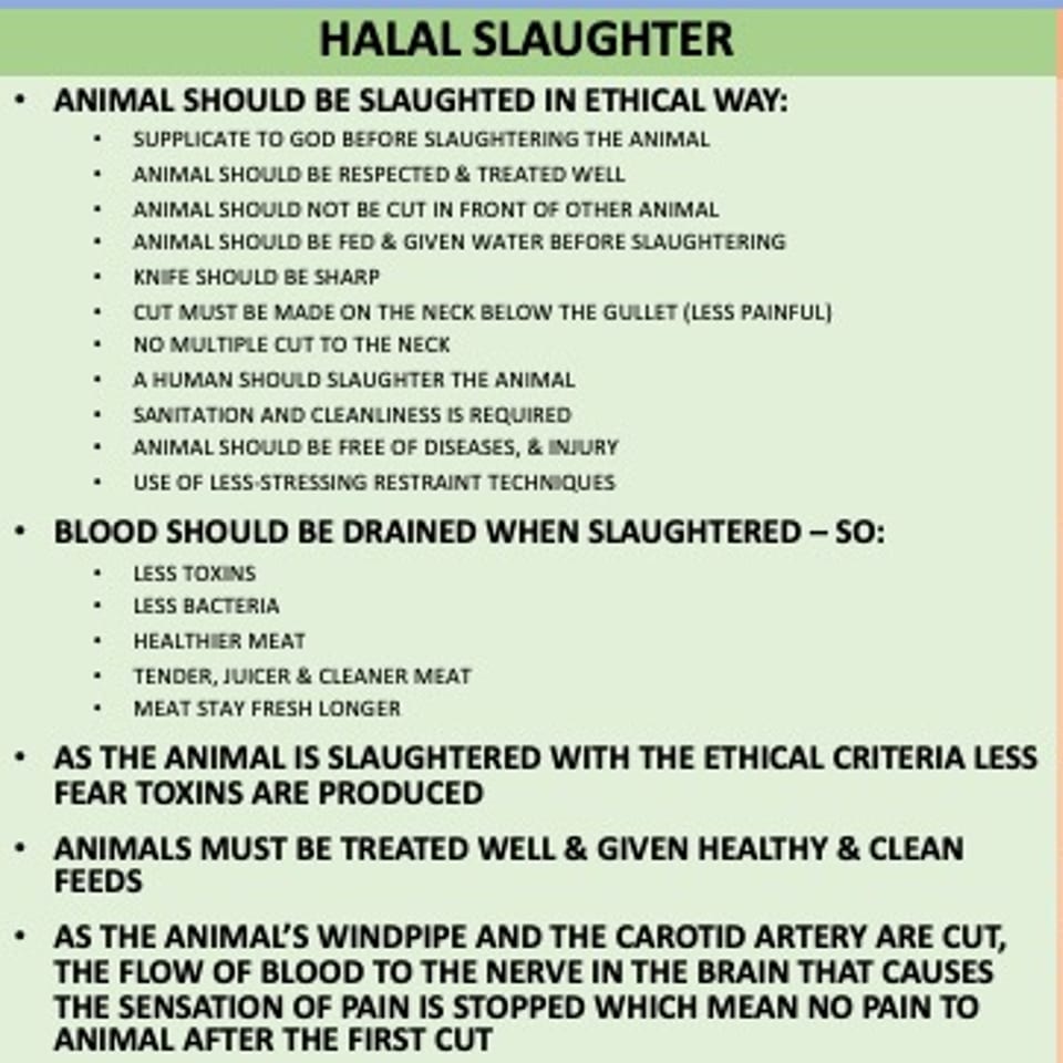 A text graphic detailing the ethical and humane practices of Halal slaughter for meat preparation.